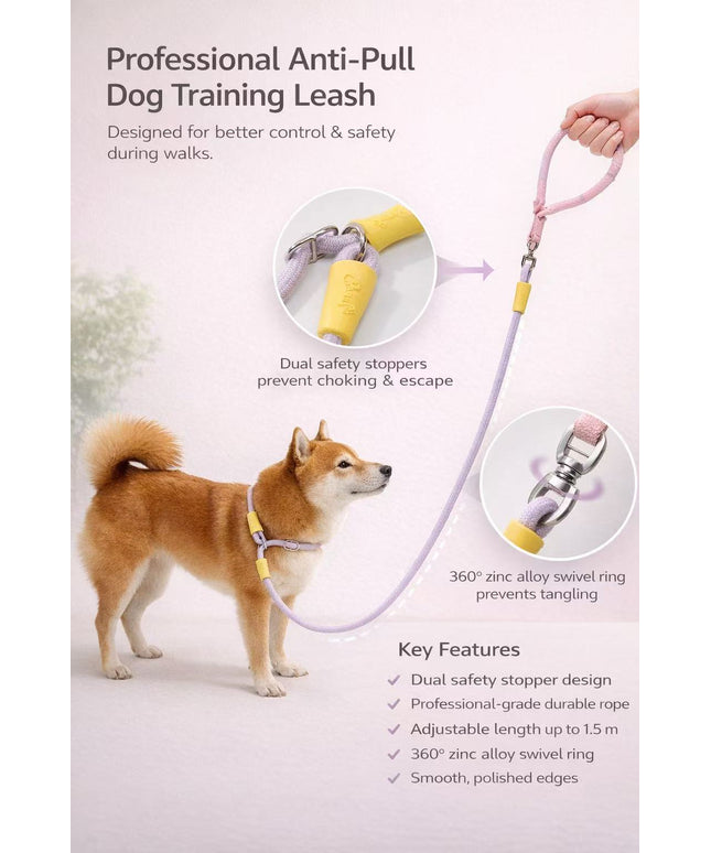 kafuli Training Slip Leash