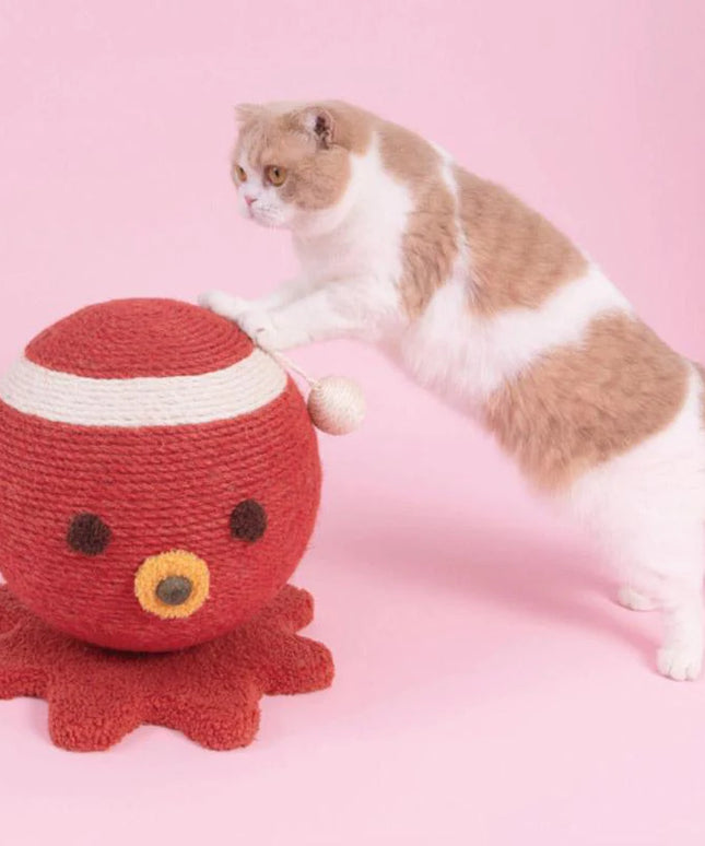 PurLab Takoyaki Cat Scratch Ball