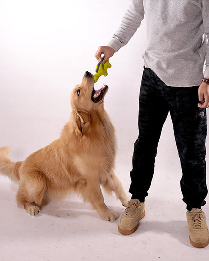 Q-monster Dinosaurs Series Latex Dog Toy