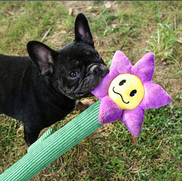 Q-monster — Giant Plush Flower Dog Toys