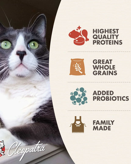 Fromm Gold Healthy Weight Cat Dry Food - 2 Sizes