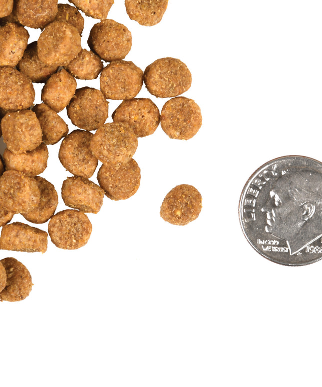 Fromm Gold Healthy Weight Cat Dry Food - 2 Sizes