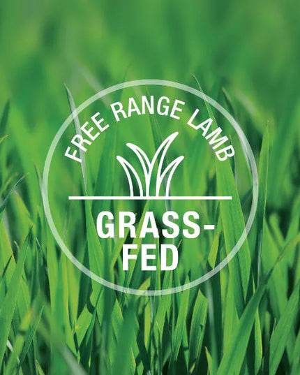 K9 Natural Lamb Feast Topper for Dogs - 142g