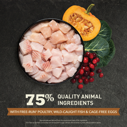 Acana Highest Protein, Wild Prairie™ Cat Dry Food - 2 Sizes