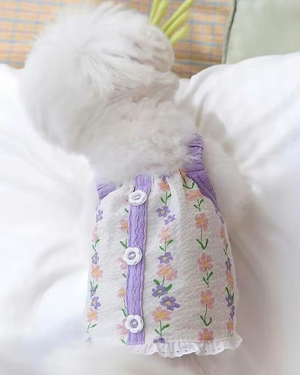Hipidog Summer Dress