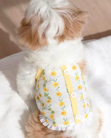 Hipidog Summer Dress
