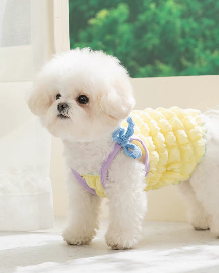 Pet Sundress
