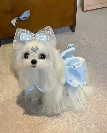 Pet Princess Dress