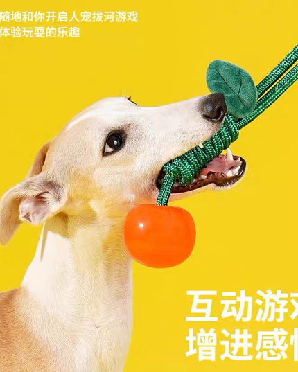 Zeze Mandarin-Shaped Chew Toy