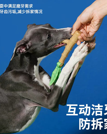 ZeZe Bamboo-Shaped Dental Chew Toy