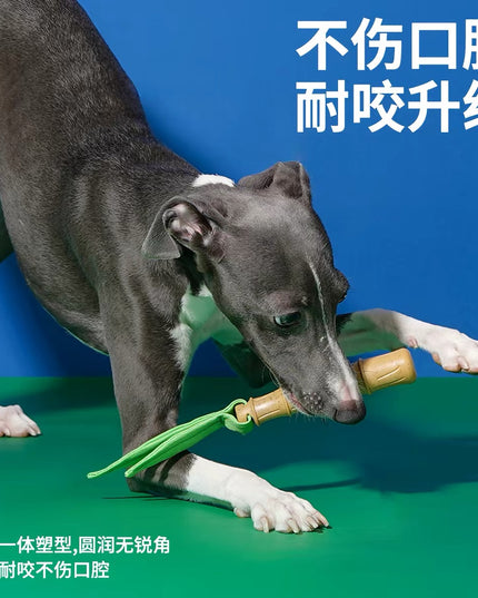 ZeZe Bamboo-Shaped Dental Chew Toy