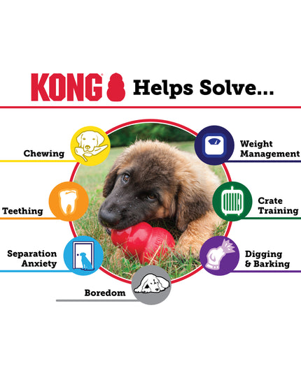 KONG CLASSIC Dog Toy - 2 Size