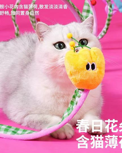 Zeze Cat Tunnel Toy