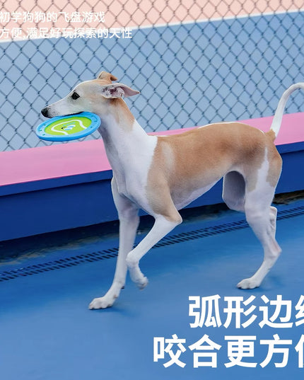 ZeZe Tennis-Themed Pet Flying Disc