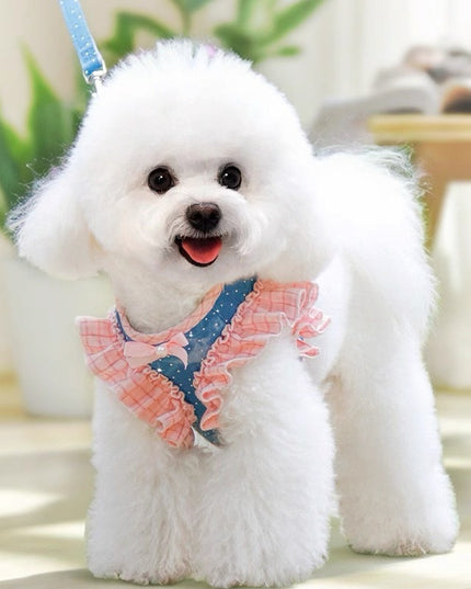 Pink Denim Harness & Leash