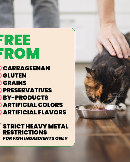 Almo Nature HQS Natural Cat Food - Chicken Drumstick In Broth - 70g