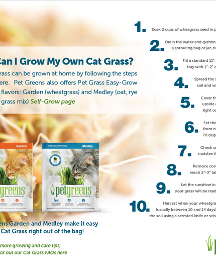 petgreens Cat Grass Easy Self-Grow Kits