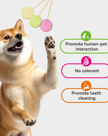 RANOVA Freeze-dried Lollipop With Eatable Stick (3 Flavour)