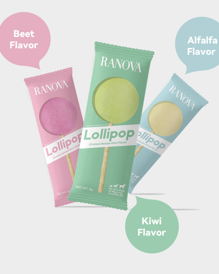 RANOVA Freeze-dried Lollipop With Eatable Stick (3 Flavour)