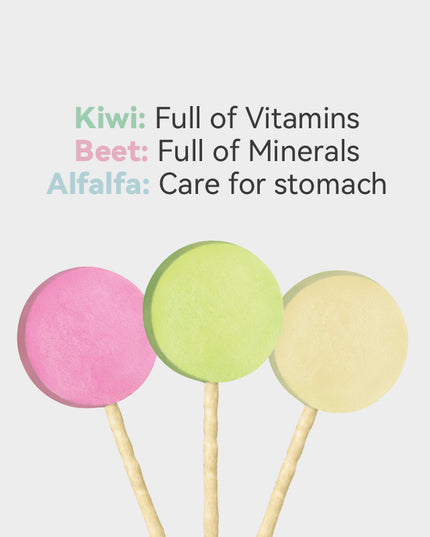 RANOVA Freeze-dried Lollipop With Eatable Stick (3 Flavour)