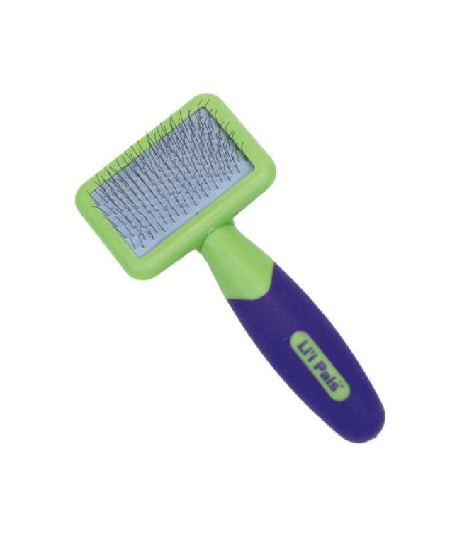Li'l Pals Kitten Slicker Brush With Coated Tip Cat 1pc
