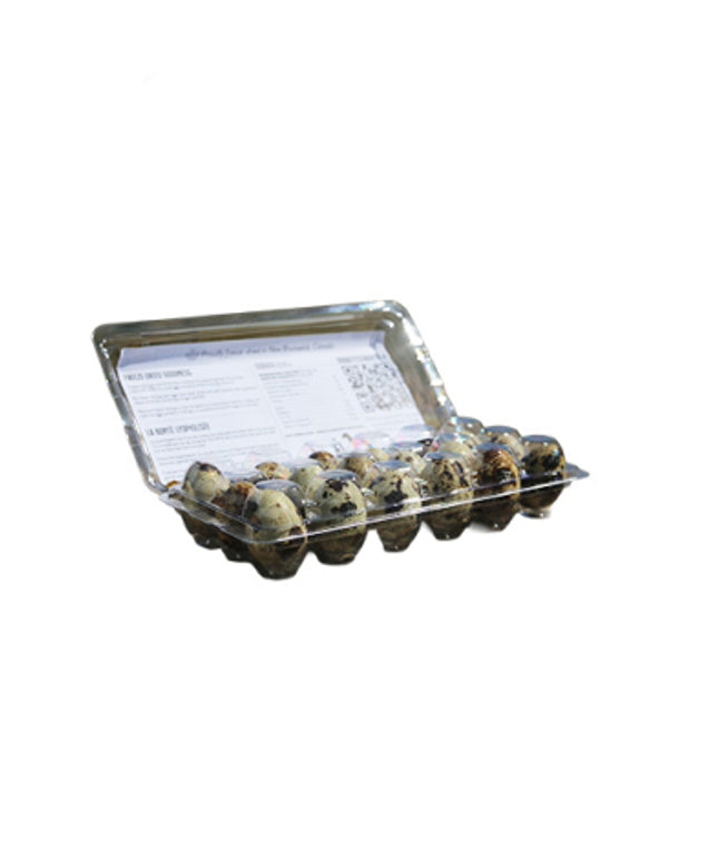 Dog Bites Freeze-Dried Quail Eggs Dog Treat (18 Pack)