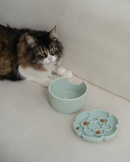 dexypaws® Raised Ceramic Cat Bowl with Slow Feeder