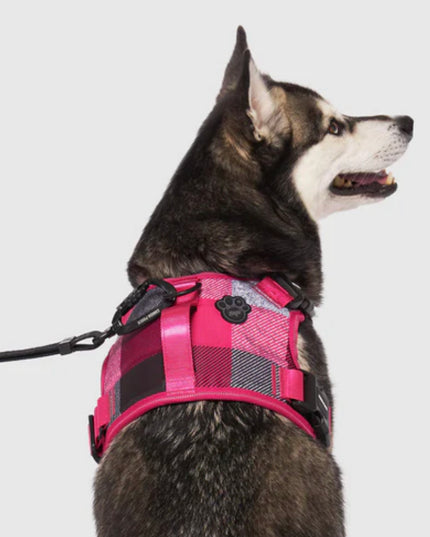 CANADA POOCH COMPLETE CONTROL DOG HARNESS -PINK PLAID SMALL