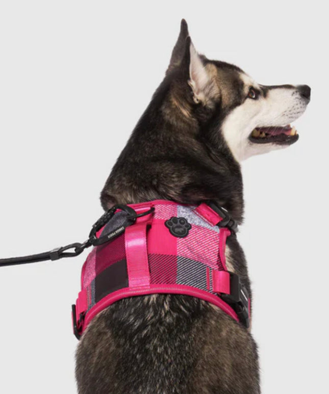 CANADA POOCH COMPLETE CONTROL DOG HARNESS -PINK PLAID SMALL