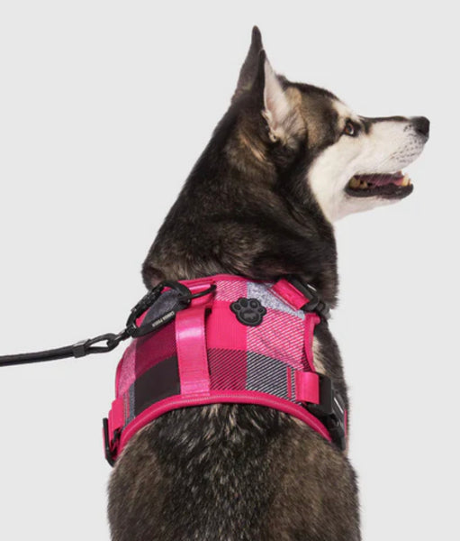 CANADA POOCH COMPLETE CONTROL DOG HARNESS -PINK PLAID SMALL