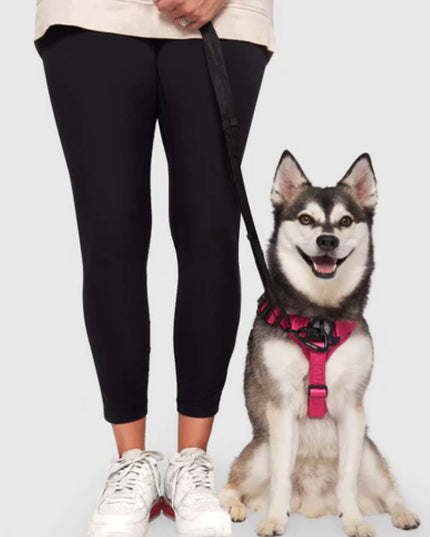 CANADA POOCH COMPLETE CONTROL DOG HARNESS -PINK PLAID SMALL