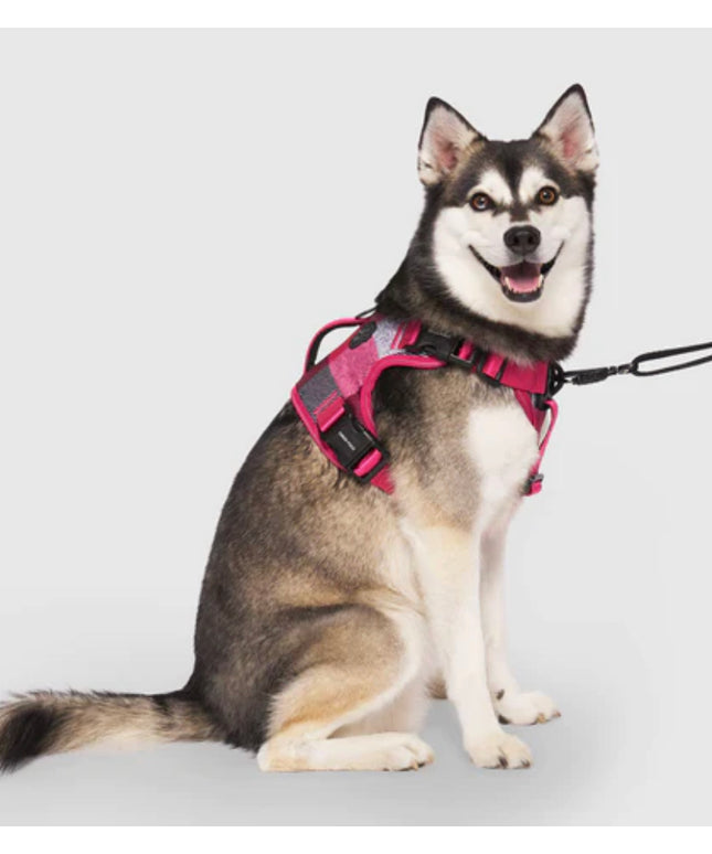 CANADA POOCH COMPLETE CONTROL DOG HARNESS -PINK PLAID SMALL