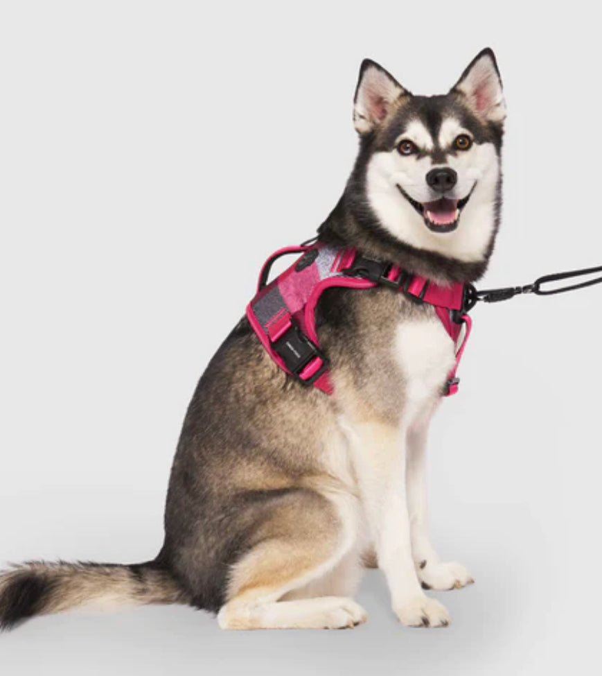 CANADA POOCH COMPLETE CONTROL DOG HARNESS PINK PLAID SMALL Furever Pets Salon and Boutique