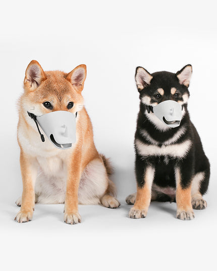 Pidan pet protective mask