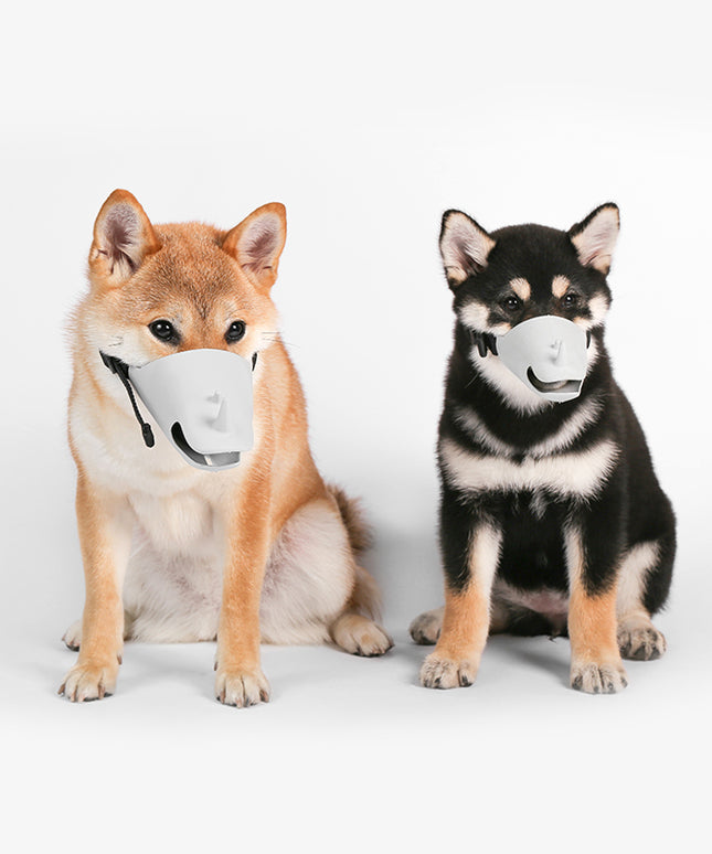 Pidan pet protective mask