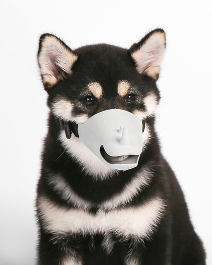 Pidan pet protective mask