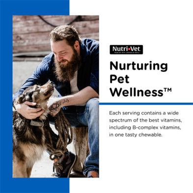 Nutri-Vet® Adult-Vite™ Daily Vitamin & Mineral Support Soft Chews for Dogs (180ct)