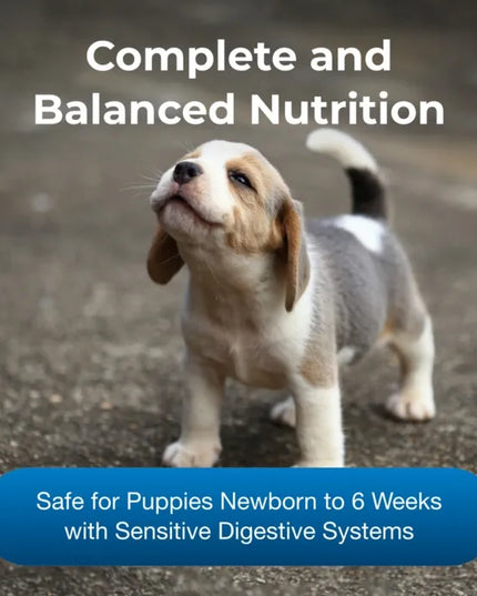 PetAg Goat's Milk Esbilac Powder Milk Supplement for Puppies-11oz