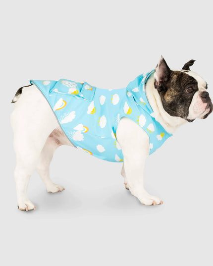 Canada Pooch Wet Reveal Torrential Tracker-12