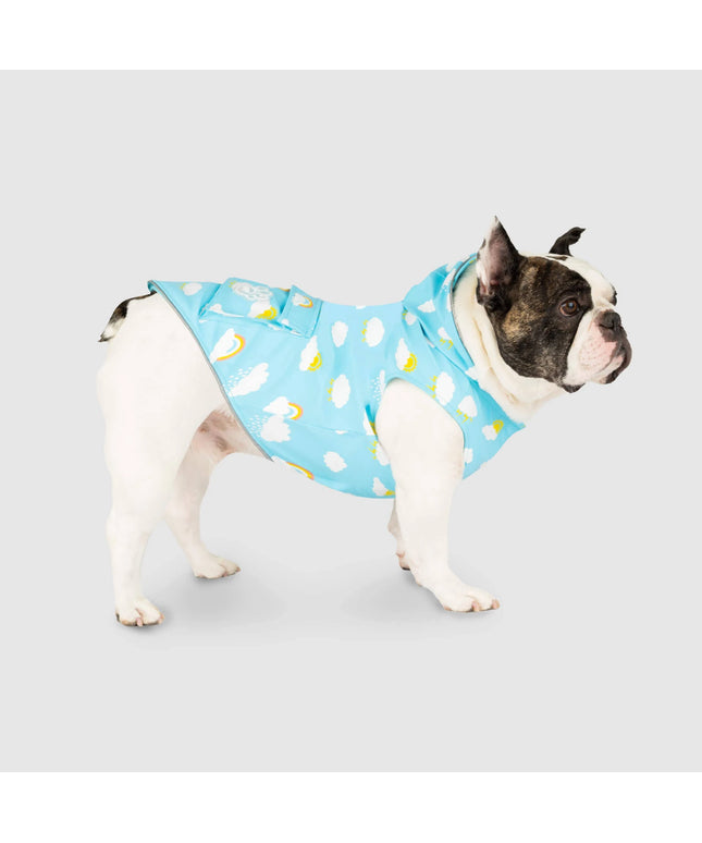 Canada Pooch Wet Reveal Torrential Tracker-12