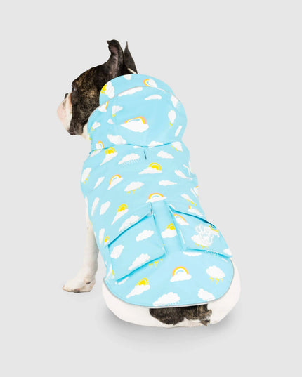 Canada Pooch Wet Reveal Torrential Tracker-12