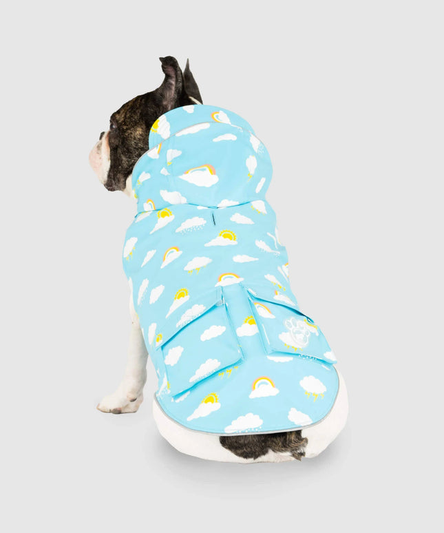 Canada Pooch Wet Reveal Torrential Tracker-12