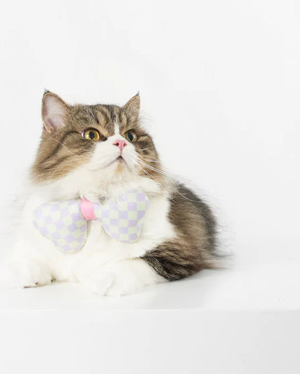 Pidan Pet 3D Bowtie Collar for cat