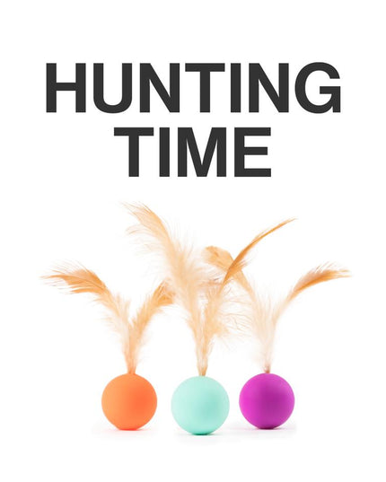 Pidan Pet Toy For Cats Bouncy Ball Type 3 PCS