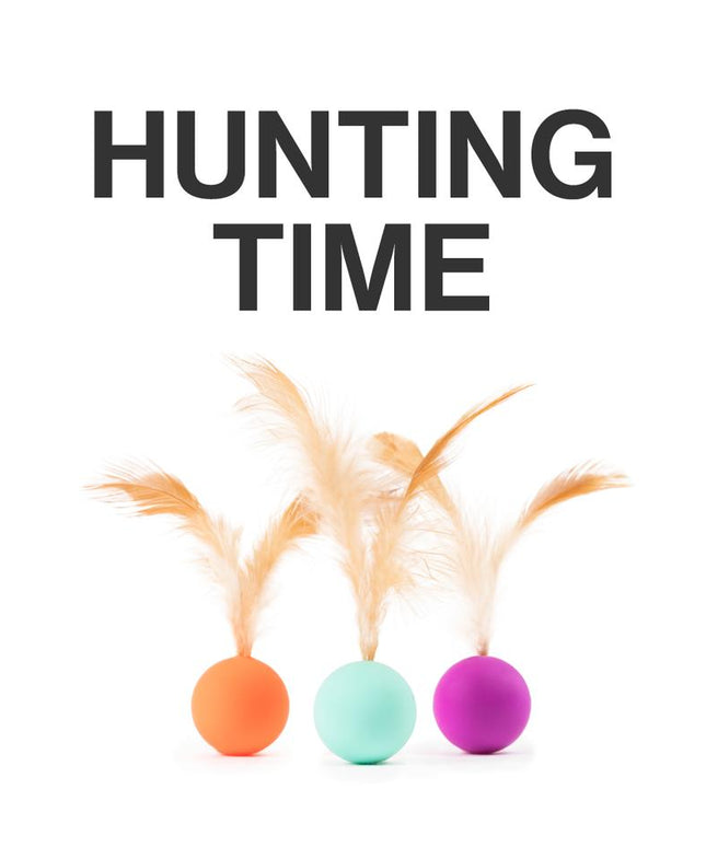 Pidan Pet Toy For Cats Bouncy Ball Type 3 PCS