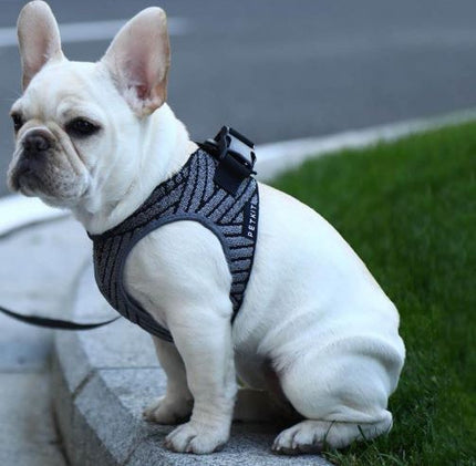 PETKIT Air Fly Dog Harness