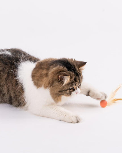 Pidan Pet Toy For Cats Bouncy Ball Type 3 PCS