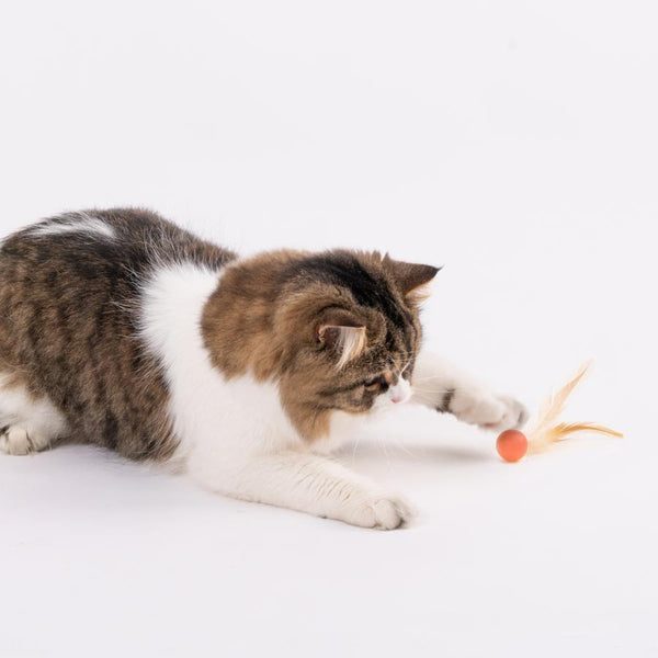 Pidan Pet Toy For Cats Bouncy Ball Type 3 PCS