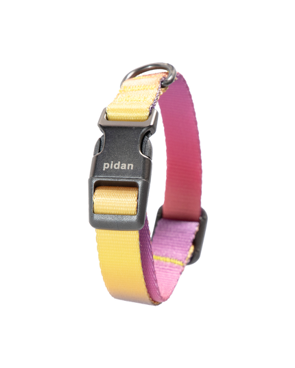 Pidan Dog Collar with Metal Buckle
