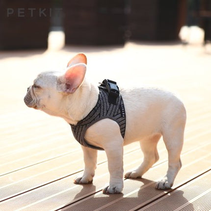 PETKIT Air Fly Dog Harness